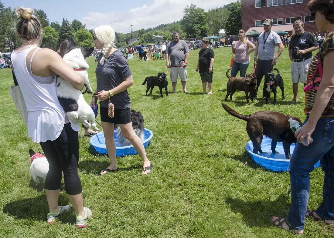 062215-nws-woofstock13.jpg